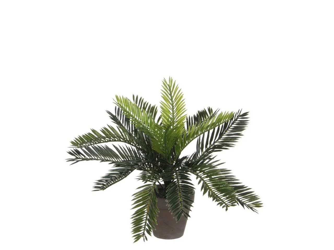 Mica Decorations Cycas Palme Kunstpflanze Grün im Terrakotta-Topf