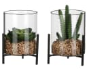 Mica Succulente im Glas Grün Kunstpflanze Bild 3