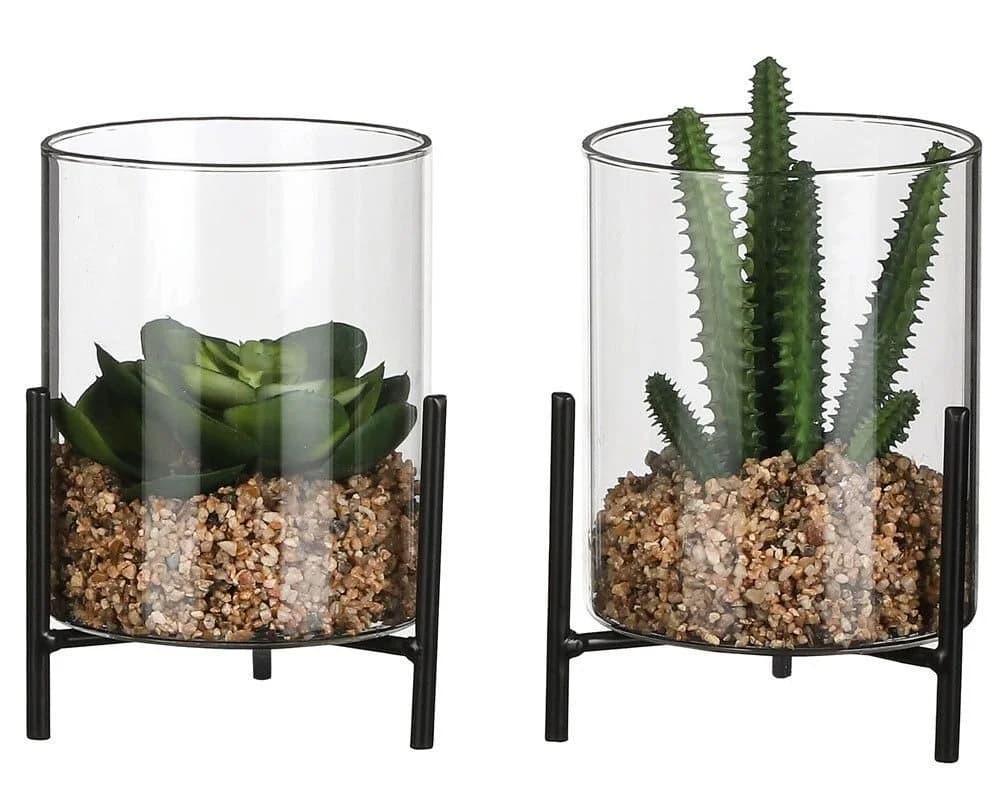 Mica Succulente im Glas Grün Kunstpflanze - Bild 3