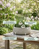 finestgreen Pflanzschale Eileen Fiberclay Beton-Optik Grau Bild 3