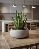 finestgreen Pflanzschale Eileen Fiberclay Beton-Optik Grau Bild 4