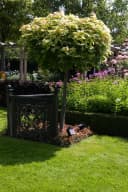 Luxform Solar-Gartenleuchte Lazise Schwarz 2er Set Bild 1