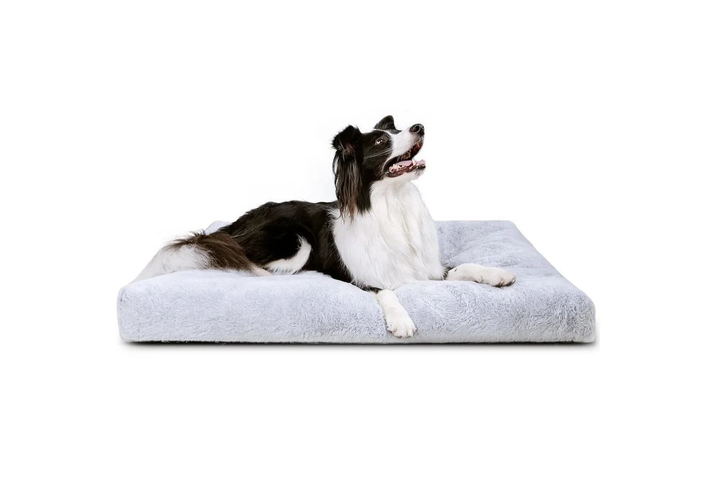 nobleza Hundematte Grau Rutschfest Waschbar - Bild 2