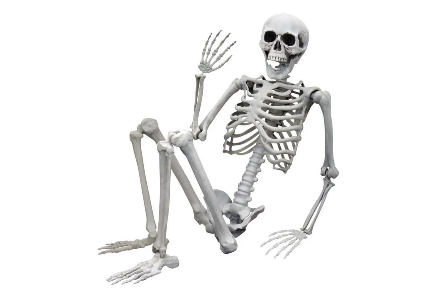 Mikamax XXL Skelett Dekofigur 1,70m Weiß Halloween - Bild 2