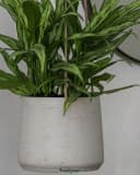 finestgreen Blumenampel Patt Hängepflanztopf Grau Fiberclay Beton-Optik Bild 4