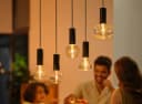Philips Hue Pendel E27-Fassung Einflammig Schwarz Bild 1