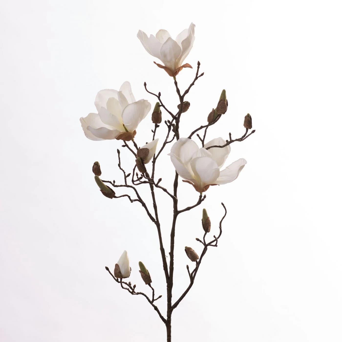 Kunstblume Kunst-Stielblume Magnolienzweig Weiß Goods NL - Bild 2