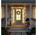 vidaXL LED-Girlande 5 m Weiß mit 75 warmweißen LEDs Bild 3