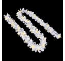 vidaXL LED-Girlande 5 m Weiß mit 75 warmweißen LEDs Bild 5