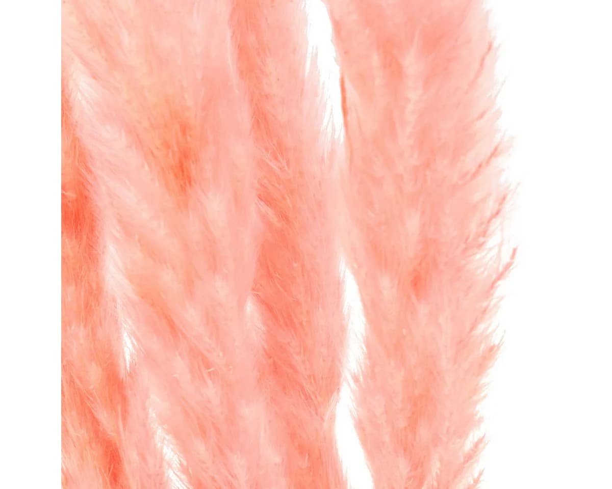 DIJK Trockenblume Pampasgras Deko Rosa Boho-Style 6 Stiele