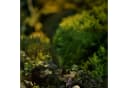 Lumineo LED Solar Gartenleuchte Schwarz Flacker-Effekt Bild 5