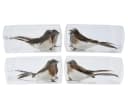 Decoris Season Decorations Vogel Deko Figuren mit Federn auf Clip 2er Set Bild 1
