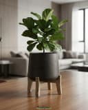 finestgreen Pflanzkübel Patt Feet Low Fiberclay mit Holzfüßen Beton-Optik Grau Bild 1
