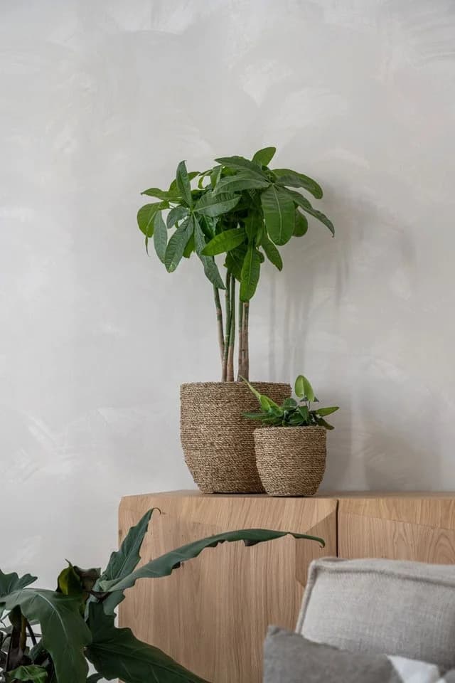 finestgreen Pflanzkübel Cody Beige Handgeflochten Strohgras