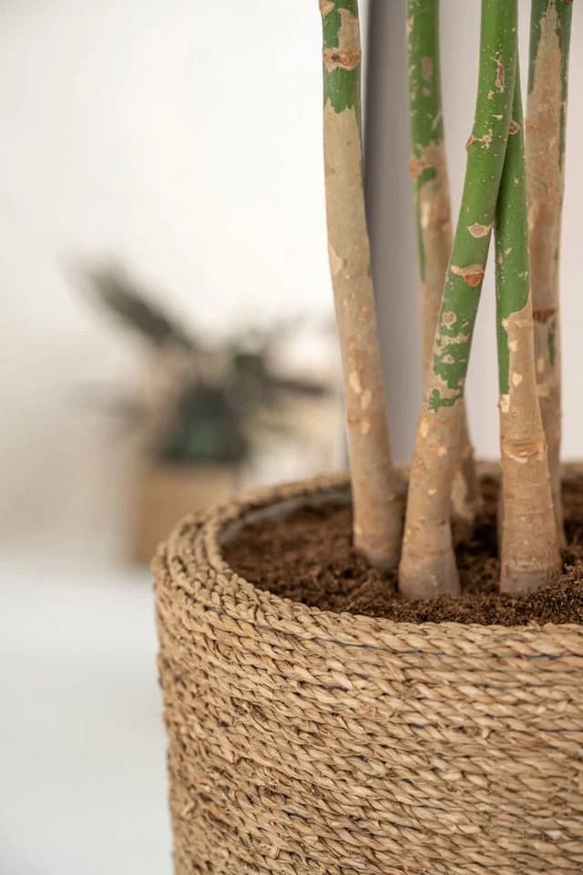 finestgreen Pflanzkübel Cody Beige Handgeflochten Strohgras - Bild 5
