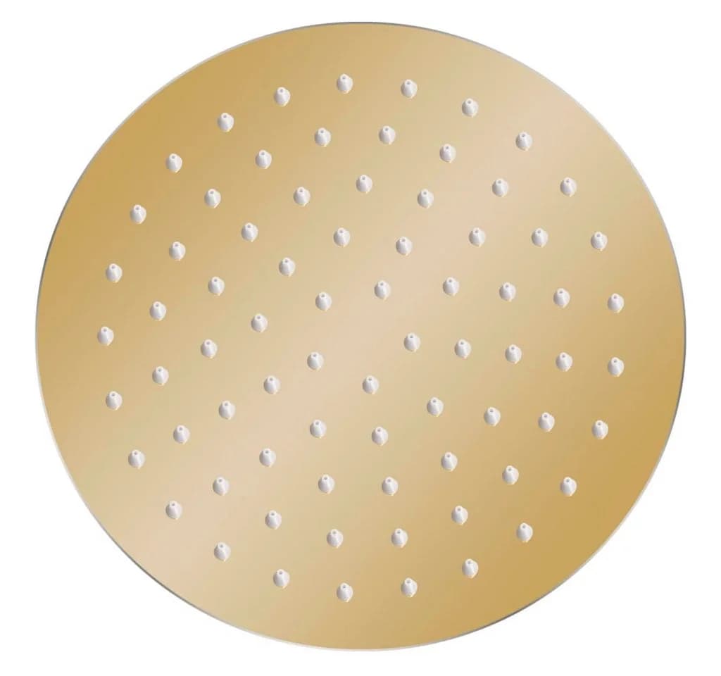 vidaXL Regenduschkopf 20 cm Rund Edelstahl Gold