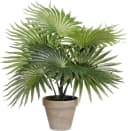 Mica Decorations Kunstpflanze Palme grün im Topf 40 cm Bild 2