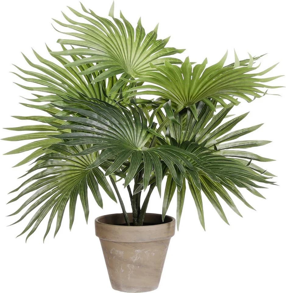 Mica Decorations Kunstpflanze Palme grün im Topf 40 cm - Bild 2
