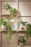Mica Decorations Künstlicher Pothos Grün mit Topf Bild 1