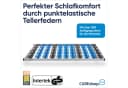 CUBEsleep Cloud Lattenrost 7-Zonen Tellerfeder Fertig Montiert Bild 1