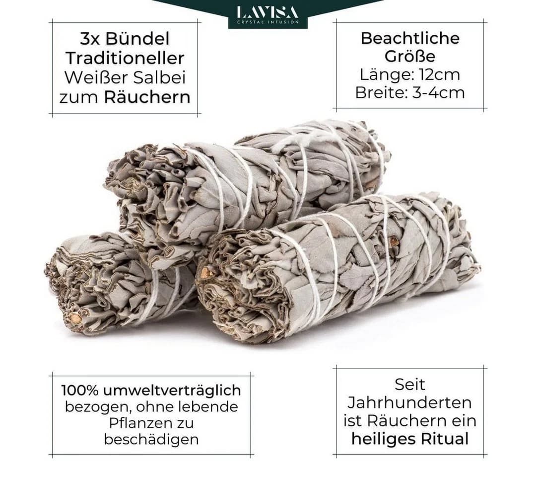 LAVISA Räucherkegel Weißer Salbei Premium mit Abalone Muschel