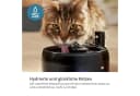 PHILIPS Trinkbrunnen PAW3210/02 Pet Series Schwarz 2,2l Bild 4