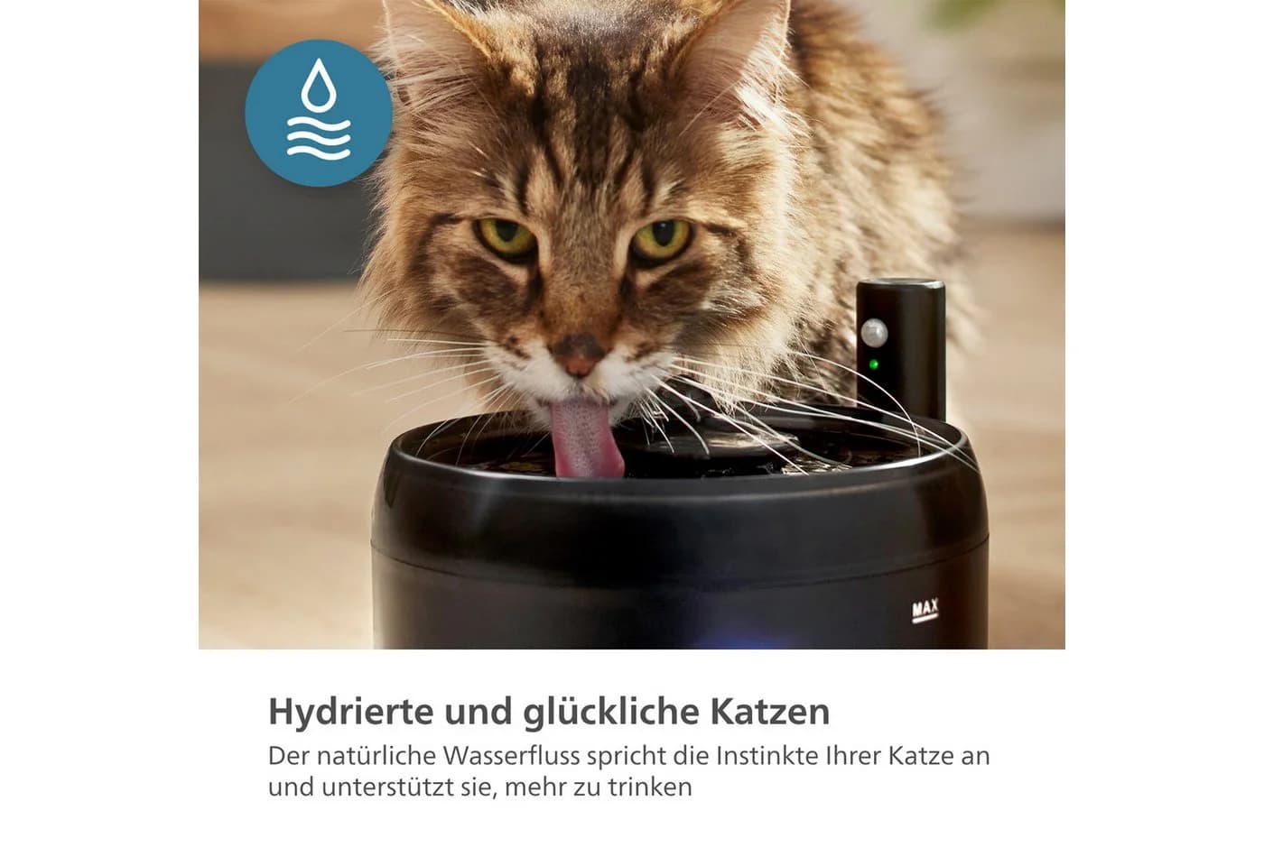 PHILIPS Trinkbrunnen PAW3210/02 Pet Series Schwarz 2,2l - Bild 4