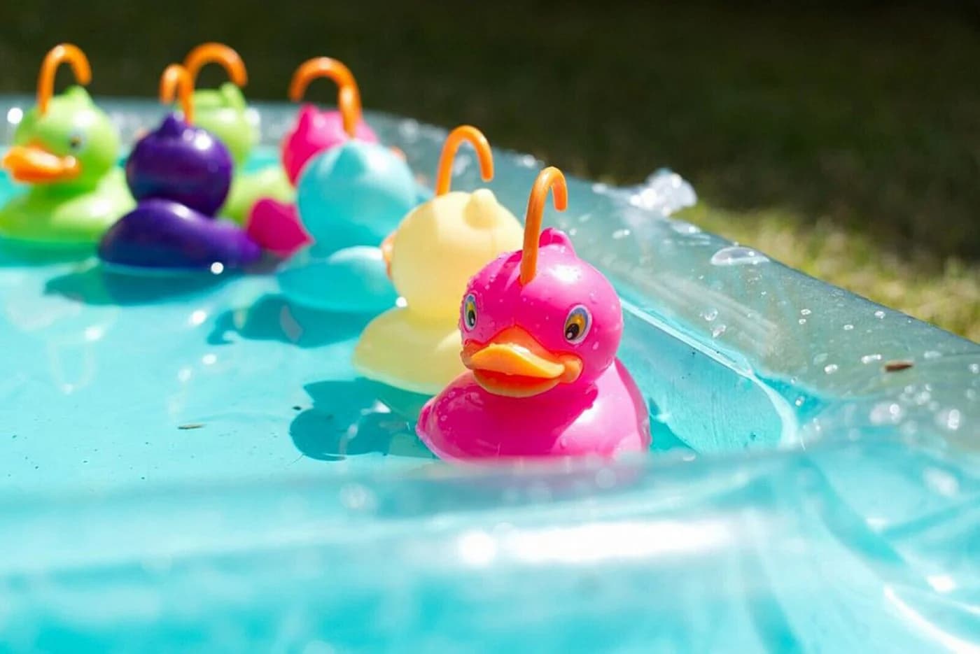Koopman Spielzeug-Gartenset Entenangeln Wasserspiel Angelspiel Pool + 10 Enten Bunt - Bild 5