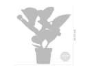 Bloomique Medinilla magnifica 'Flamenco' Zimmerpflanze Rosa Bild 5