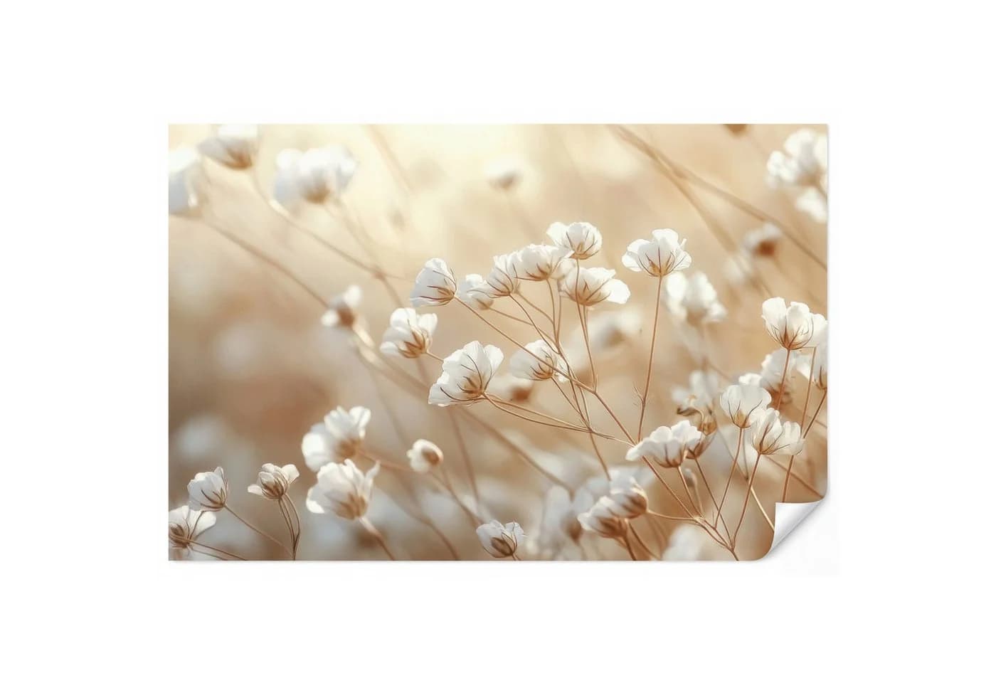 OnlyWow Fototapete Wild Blumen Weiß Modern Vlies - Bild 2