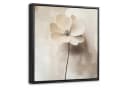 OneMillionCanvasses® Leinwandbild Blume Beige Schattenfugenrahmen Bild 2