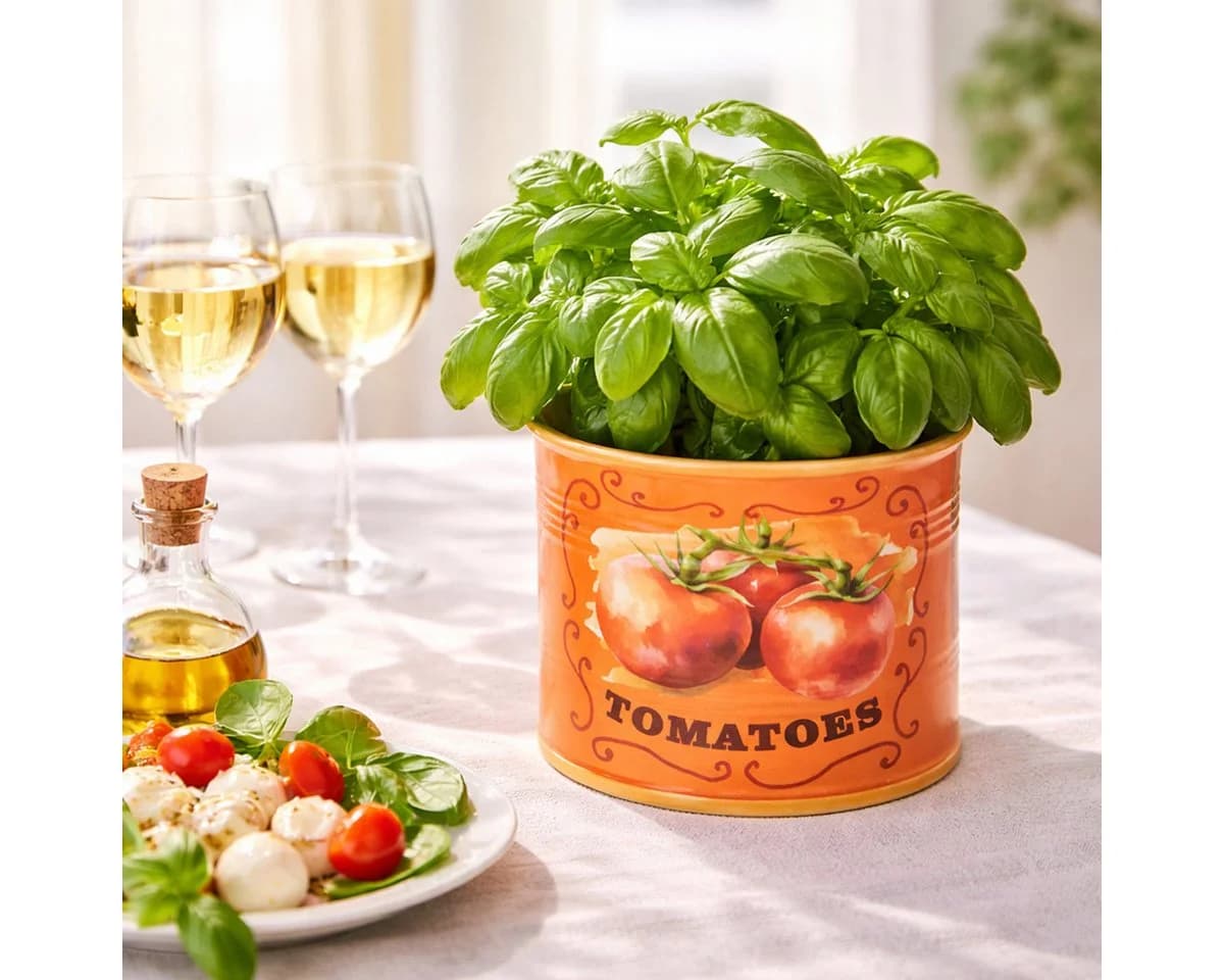 Kaemingk Keramik Übertopf 3er-Set Retro Vintage Tomaten Design Bunt