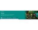Lumineo LED Solarleuchte Blume 28cm Kaltweiß Kunststoff Bild 3