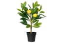 Kunstbaum CITRON, Gelb, Grün, Kunststoff, Naturgetreu, Zitronenbaum, Kaemingk Bild 2