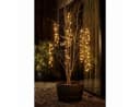 Lumineo LED-Lichterkette Cluster Twinkle 480 LED Soft Gold 6 Stränge Bild 1