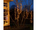 Lumineo LED-Lichterkette Cluster Twinkle 480 LED Soft Gold 6 Stränge Bild 4