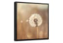OneMillionCanvasses® Leinwandbild Löwenzahn Beige mit Schattenfugenrahmen Bild 2