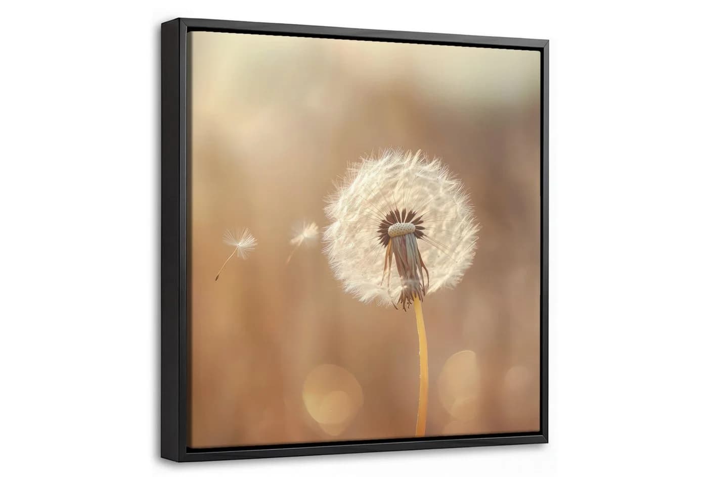 OneMillionCanvasses® Leinwandbild Löwenzahn Beige mit Schattenfugenrahmen - Bild 2