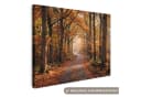 OneMillionCanvasses® Leinwandbild Waldweg Herbstwald Orange Bild 2