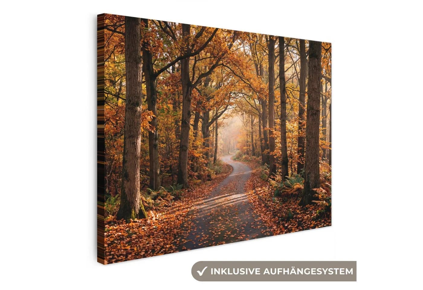 OneMillionCanvasses® Leinwandbild Waldweg Herbstwald Orange - Bild 2
