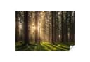 OnlyWow Fototapete Wald Grün Braun Modern Vlies Bild 2