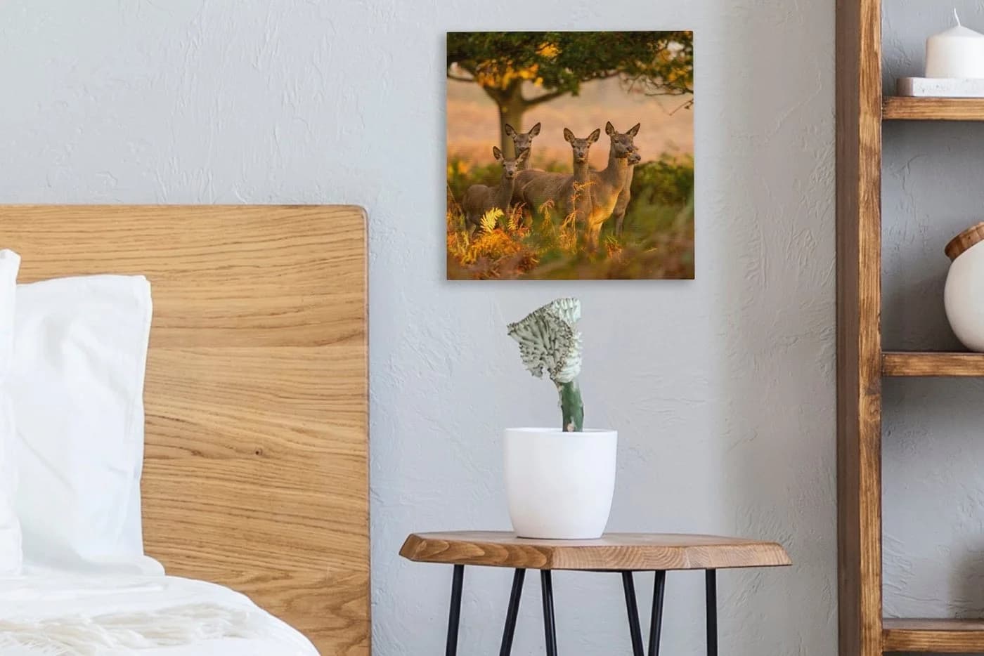 OneMillionCanvasses® Leinwandbild Hirsche Natur Motiv 20x20 cm - Bild 4