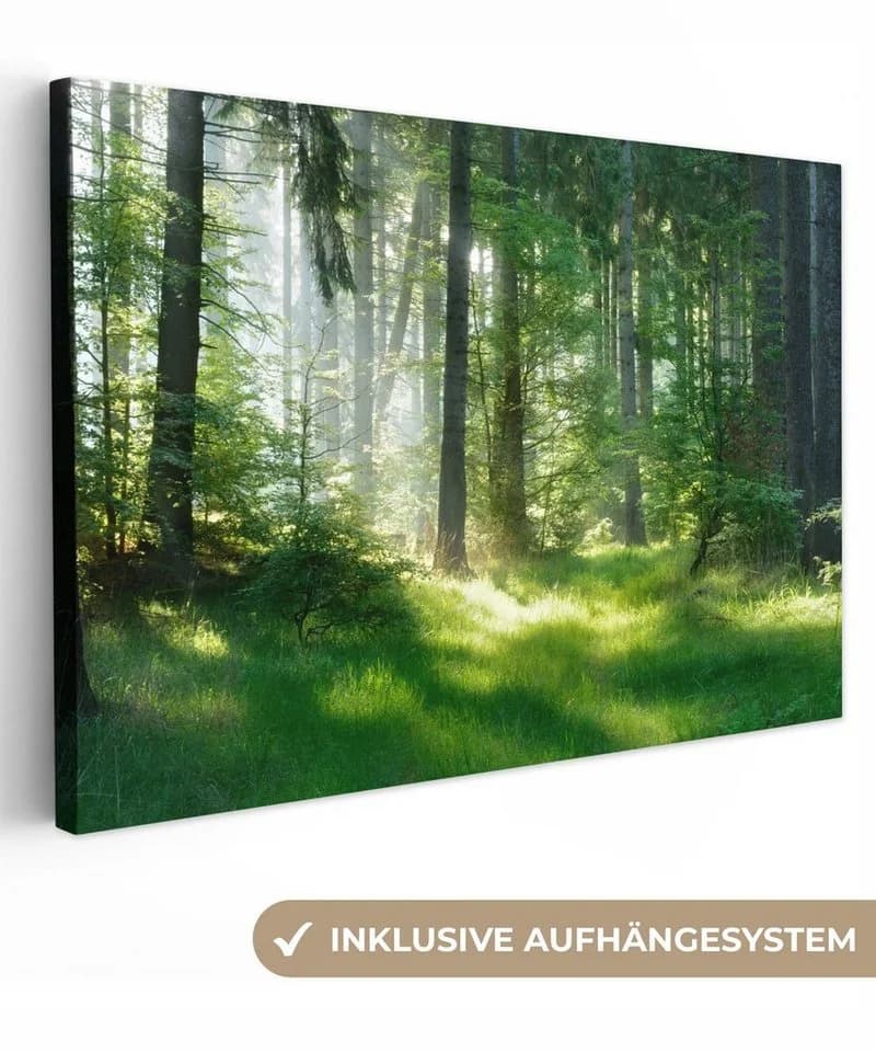 OneMillionCanvasses Leinwandbild Natur Wald 30x20 cm - Bild 2