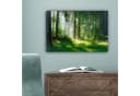 OneMillionCanvasses Leinwandbild Natur Wald 30x20 cm Bild 5