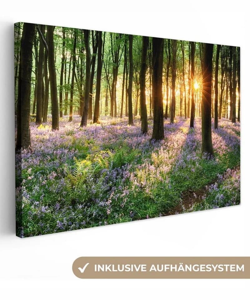 OneMillionCanvasses® Leinwandbild Wald Lavendel Lila 30x20 cm - Bild 2