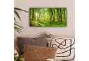 OneMillionCanvasses® Leinwandbild Panorama Natur Grün Bäume Wald Bild 1
