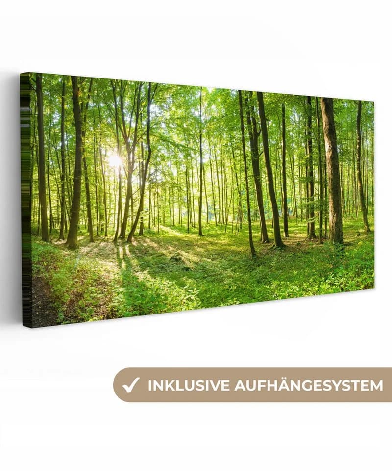 OneMillionCanvasses® Leinwandbild Panorama Natur Grün Bäume Wald - Bild 2