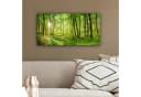 OneMillionCanvasses® Leinwandbild Panorama Natur Grün Bäume Wald Bild 4