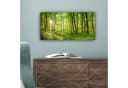 OneMillionCanvasses® Leinwandbild Panorama Natur Grün Bäume Wald Bild 5