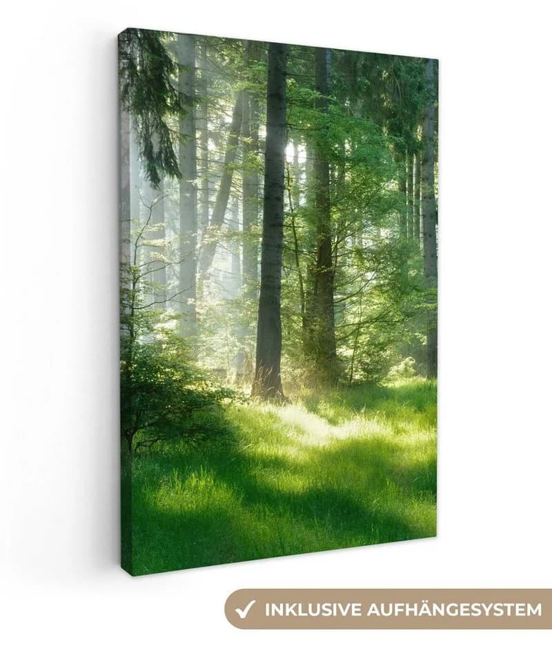 OneMillionCanvasses® Leinwandbild Wald Grün Natur - Bild 2